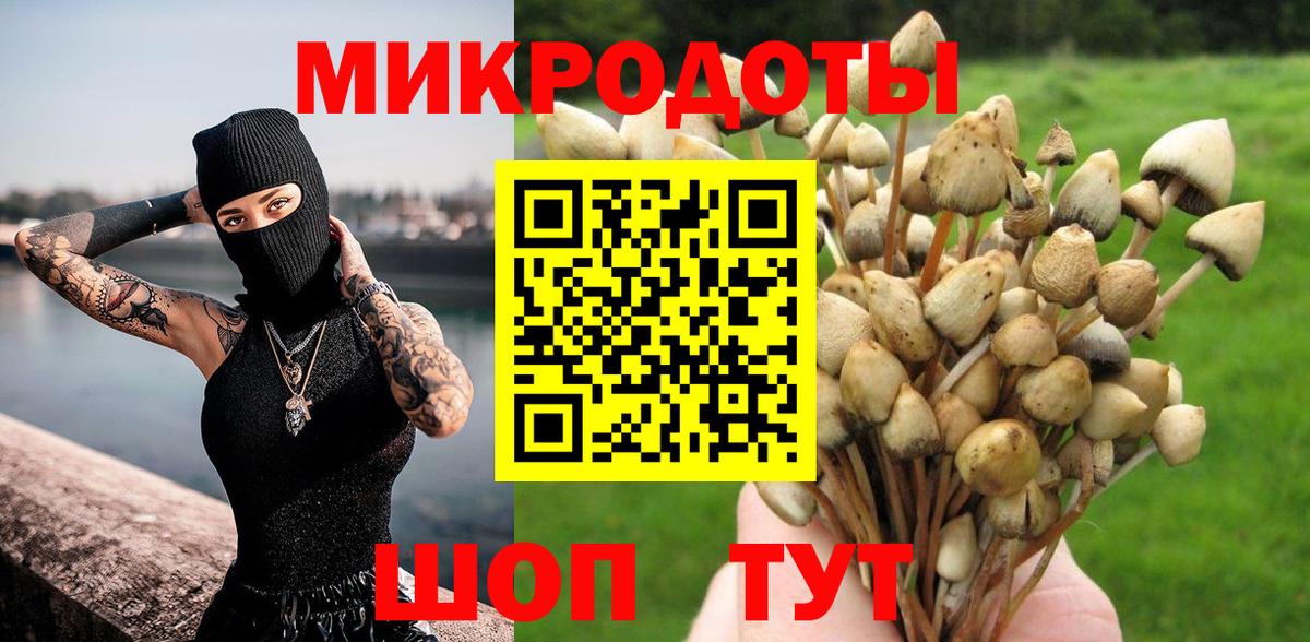 Псилоцибиновые грибы мицелий Тверь