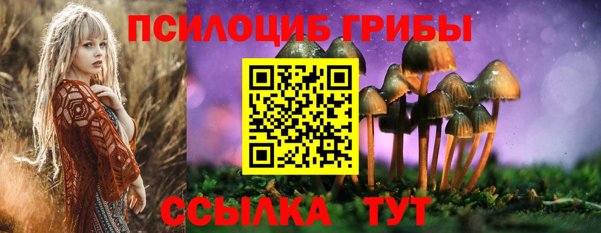 Галлюциногенные грибы мицелий  даркнет сайт  Тверь  Вход с VPN 